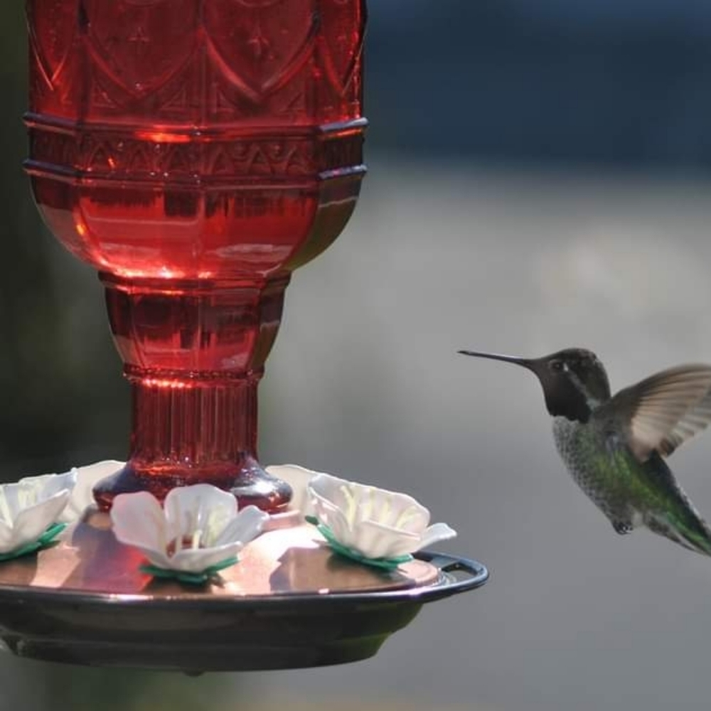 Meet your Posher, Doug